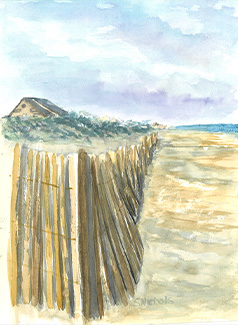 BeachFence