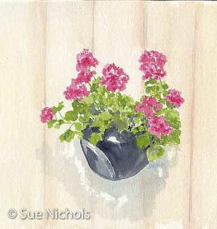 Geraniums